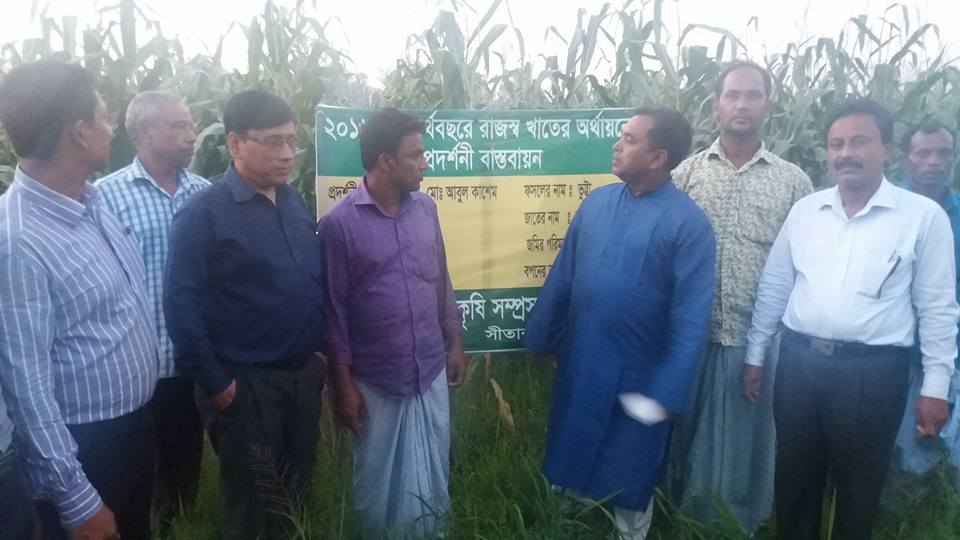 ভুট্টায় উজ্জীবিত সীতাকুন্ডের কৃষক