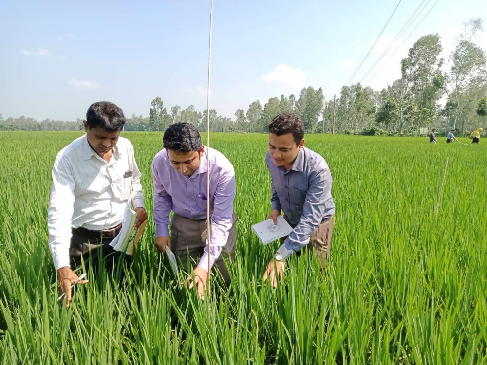 অতন্দ্র জরিপ